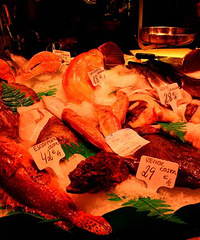 �������Ĳ��г����������������й���۲�����