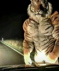 ������������ôһ���ˣ�������ͨ��û�У����·��Ǵ�������...