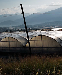 [�Լ�������]�羰�续��С��ׯ�Ŵ���ǡ