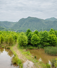 ��̶ˮ������ģ��������ˮ�ס�������ˮ