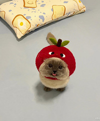 ���������бȽϺ��ʵĵ���ĵط�����Ҫ�շѵ���������