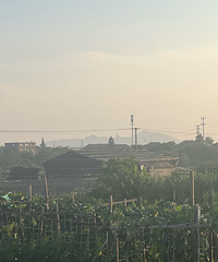 �ƺ��Ŀ��Ѿ������ˣ�ͼ�о��Ǻ���