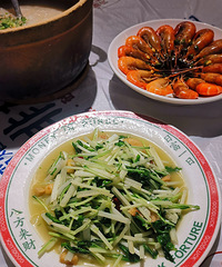 �������ʲô����������Ϻ����