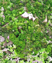 [�Ƽ�]5��������·�����㳩��ɽ��̨��