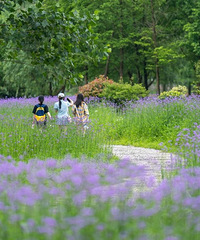 ����桰������˹�����򿨾�����ɫ����������һ�Ķ��Ǵ�Ƭ~