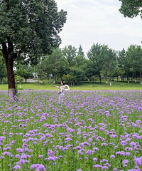 ����桰������˹�����򿨾�����ɫ����������һ�Ķ��Ǵ�Ƭ~