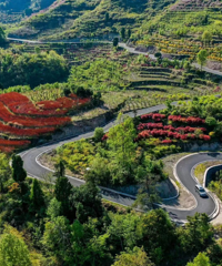 ���ڹ�ʾ��̨��������Ŀ��ѡ