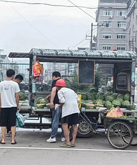 ��������Ϊʲô���ˣ�����ȥ���顭��