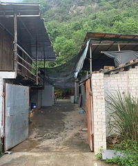 ��SK-II�������ζ����������ƻ�ױƷ����������������������3���