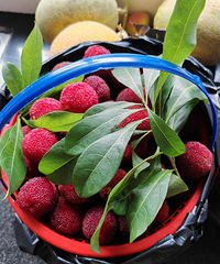 ��÷̫���˳Բ�����ô������ã�