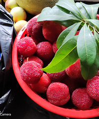 ��÷̫���˳Բ�����ô������ã�