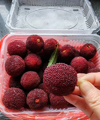 [�����ʲô]���������������ʮ����÷