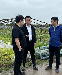 ̨���������ƺ�������ȫ�桰���㡱��