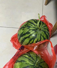 �����������ô�ˣ����˵���������