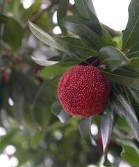 ���ӵ��ޣ����Ҷ�����÷����Ͷ�����ڿƼ���