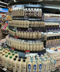 һ��˵һ������������NO.1��ţ�����ĸ���