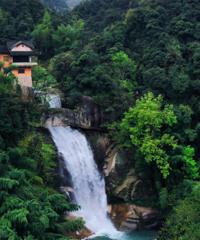 ��ѧ�������ֲ��嵥������ƪ��GO��