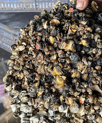 ��������6000�����ո�ͨ�����Ѳ�⣡�������ѣ�ǧ����ҳ�