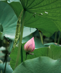 ���ա������������ˣ���ĩ���ϼ���һ��ȥ��