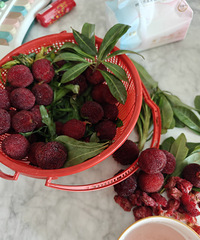 ���ۼҶ�204ʡ�������÷���󲿷ֶ��Ǳ��ʵ�