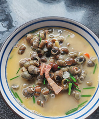 [�����ʲô]�������Ϻ�����