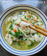 [�����ʲô]�����ζ������Ŷ