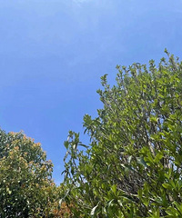 ��ˮɱ�˸�������ǹ����������̨�ݱ����¿س�����÷ʱ����