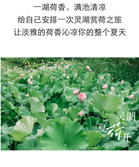 ������ĺɡ��ѿ������������������ɣ�