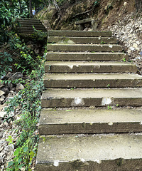 ����ɽ�����β�������ʩ���е㡰Ұ����