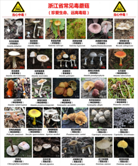 ̨��·�߳����ˣ��������ѣ���Ҫ������Ҫ�ԣ�