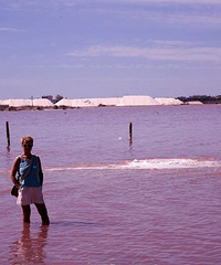 �ۺ��κ���������������