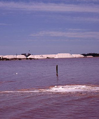 �ۺ��κ���������������