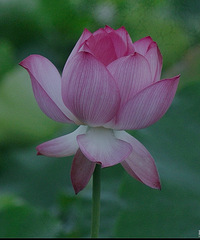 ��2024̨���ͺɹ��ԡ�̨��������Կ��ɻ���