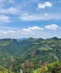 �Ӷ���ͷ������ʯ��ȥ���д������ϵ�ʯ�Ͽ����ɹ�������´�