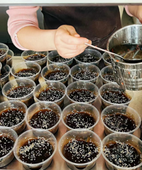 �㶫����ˮ�̣��۴�̨��Ҳ���Ը�������������~