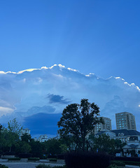 ���ơ�����Ը��Ҷ���ƽ��ϲ�֣�