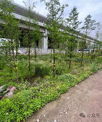 243���ɾӻ�����·�ϲຼ�¸������ཻͨ����վ�õسɽ�