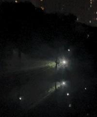 ���ڴ������֣����˳���800Ԫ/����㽭��������ץ