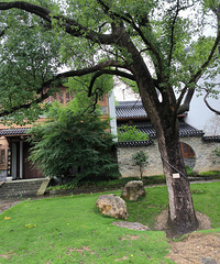 �������ֱ�12Сʱ����?