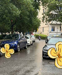 �淳����ͣ�����ˣ�˭����