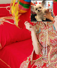 ���������ʡ500����ëȥ������̬�Ⱥ�