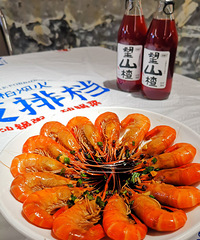 �������ʲô����ȥ���������Ϻ��