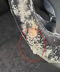 ��ʱ��ͣ�ؿ���£������򿪳�����һ����������Ҫ�ˡ�