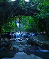 ����̨�ݣ�����ȥ����������̨�ݷ����Ĺ���