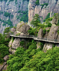 ���ɾӰ桰�Ʊ��и�С��������ֻ��������ζ��