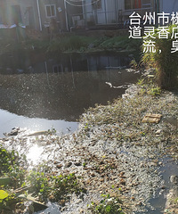 ��ˮ��������������