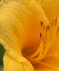 ����22ʱ20�֣�̨����ʽ����....