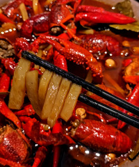 �������ʲô����ϺƷ�ʲ���������һֻ