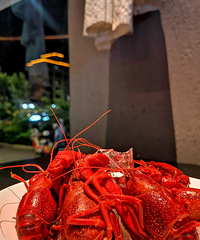 �������ʲô����ϺƷ�ʲ���������һֻ