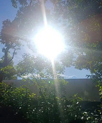 39.5�棡̨�ݸ��º�ʱ�ݣ�